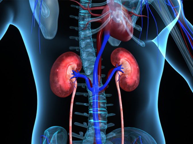 Clínica con servicio de hemodiálisis