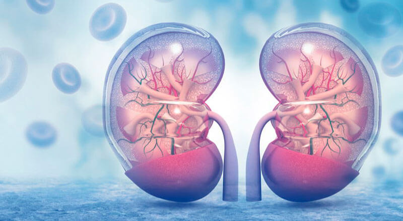 Los mejores especialistas en nefrología