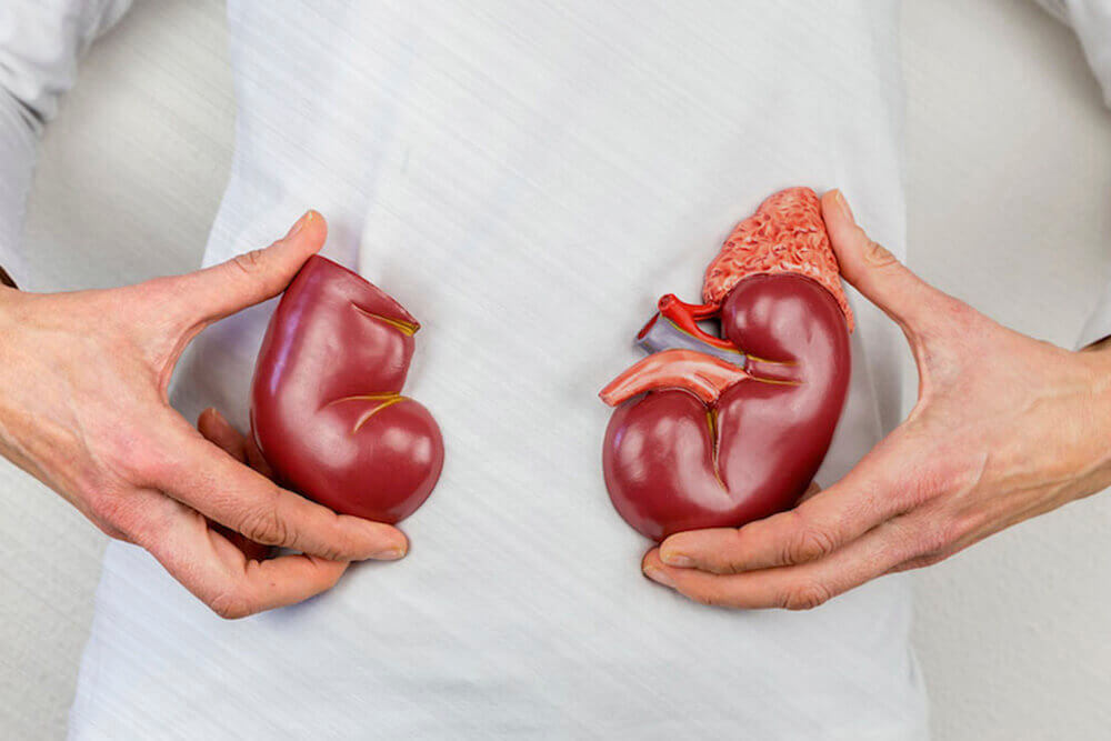 Precio de una biopsia renal