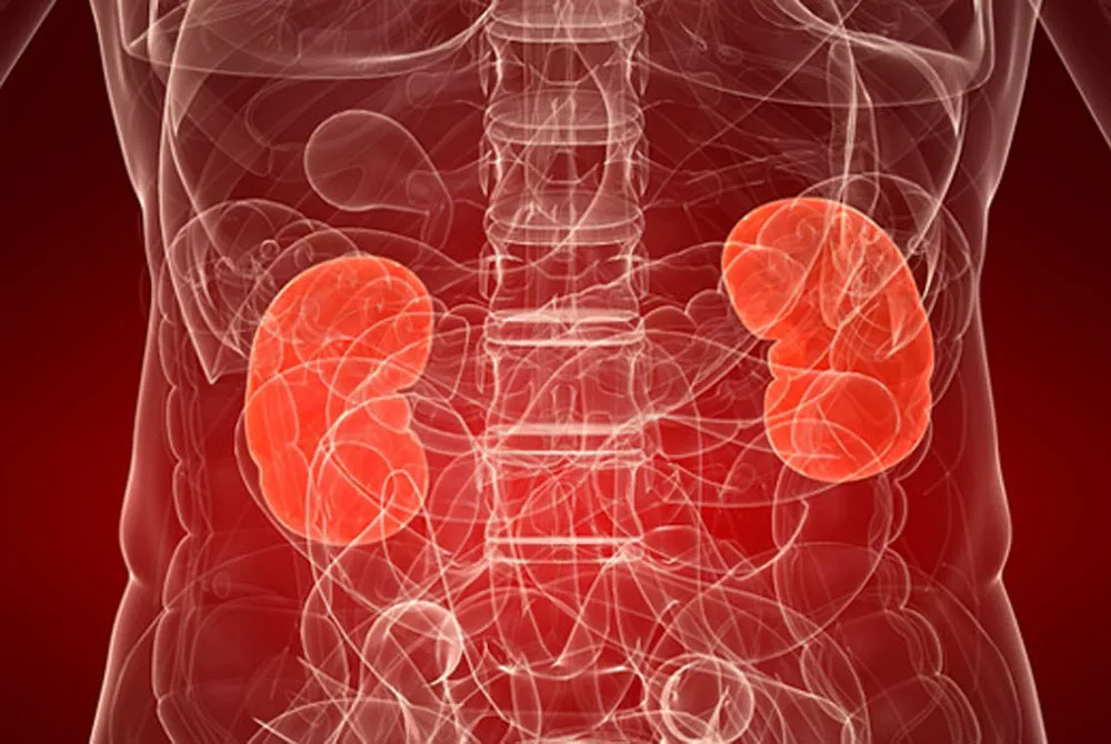 Tratamiento para insuficiencia renal crónica