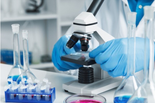 Biopsia renal percutánea