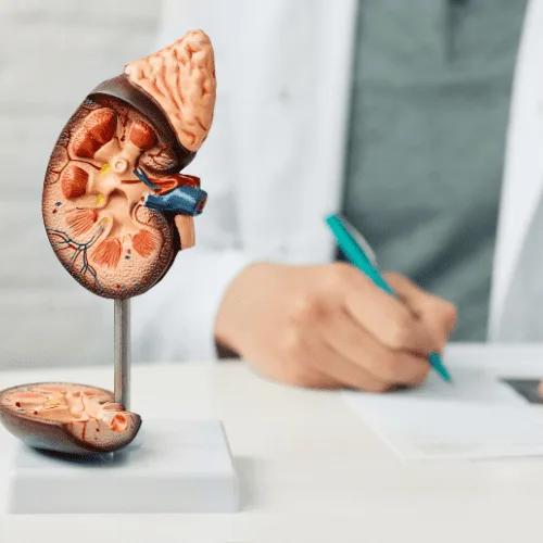 Nefropatía Hipertensiva: Atención y Cuidado Renal Especializado en CDMX
